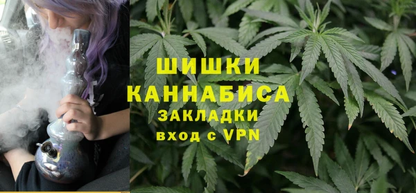 СК Богородск