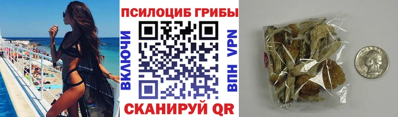 дарнет шоп  Северск  Псилоцибиновые грибы Cubensis 